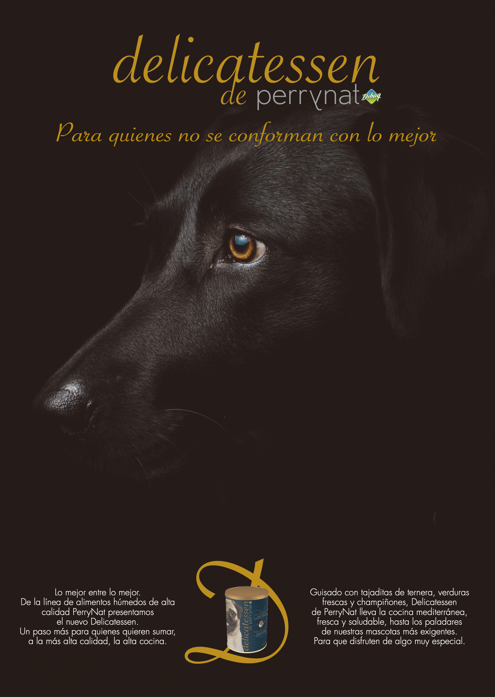 Cara de perro negro de perfil