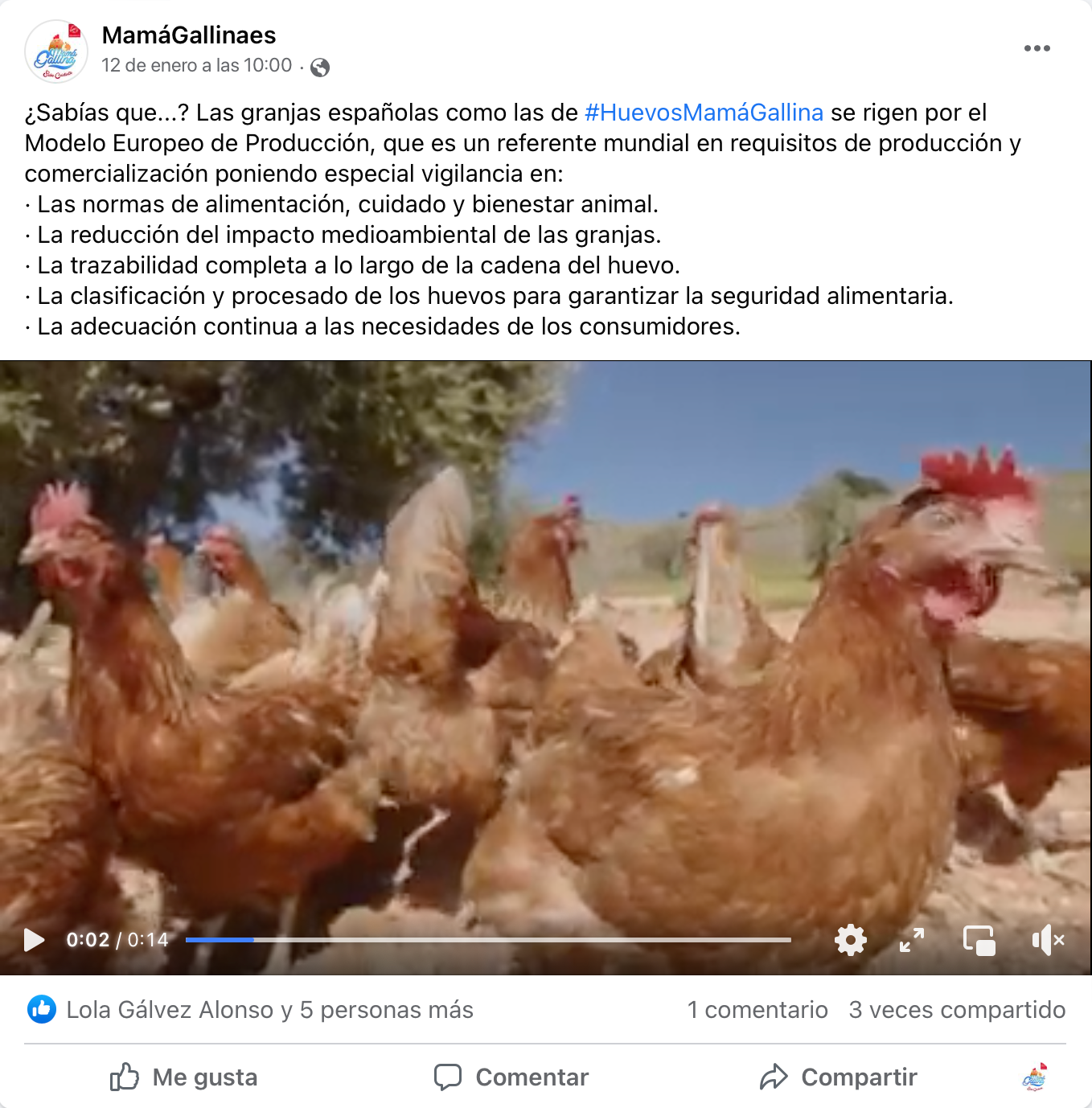 gallinas en el campo