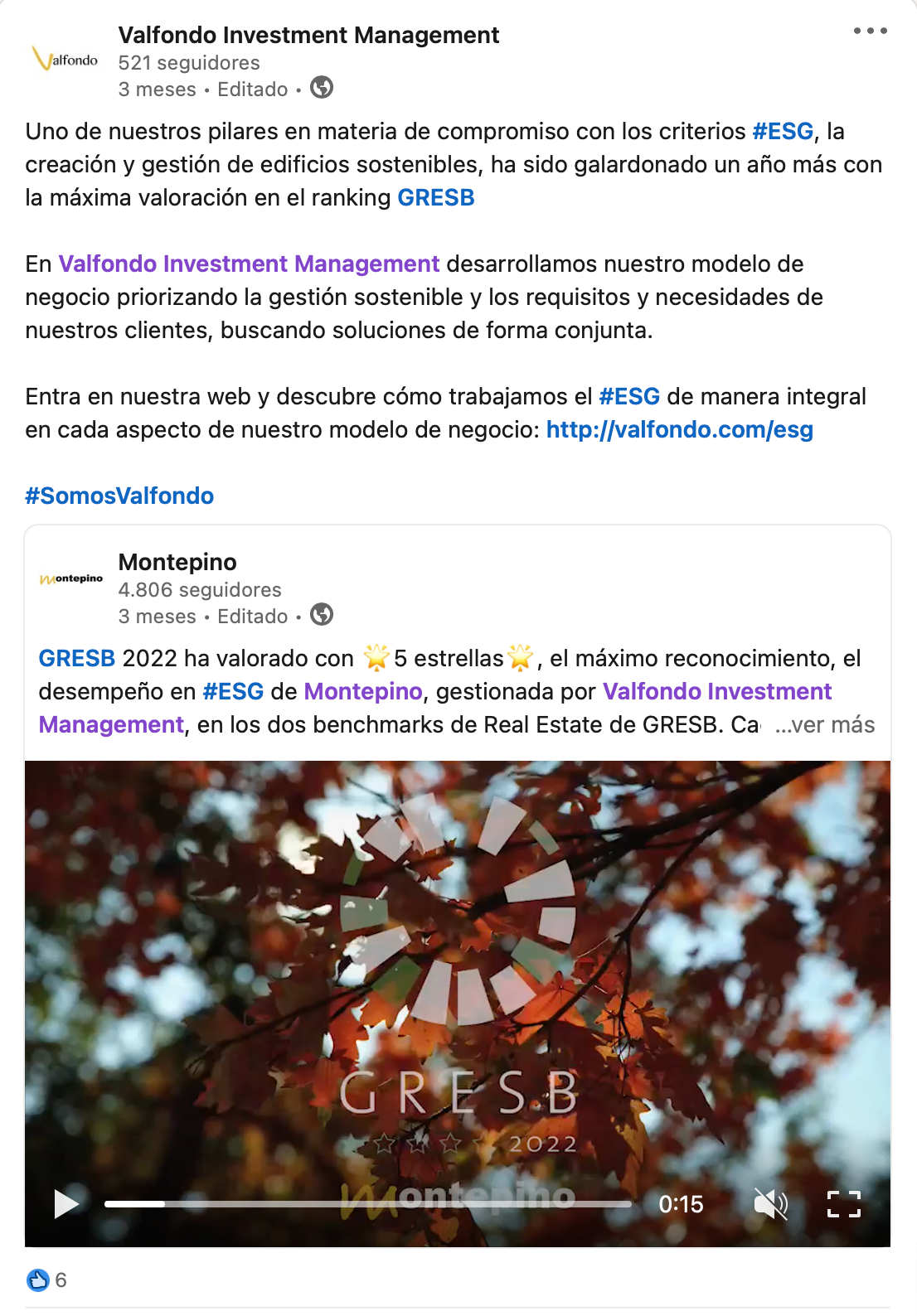 Foto tweet árbol con hoja caduca