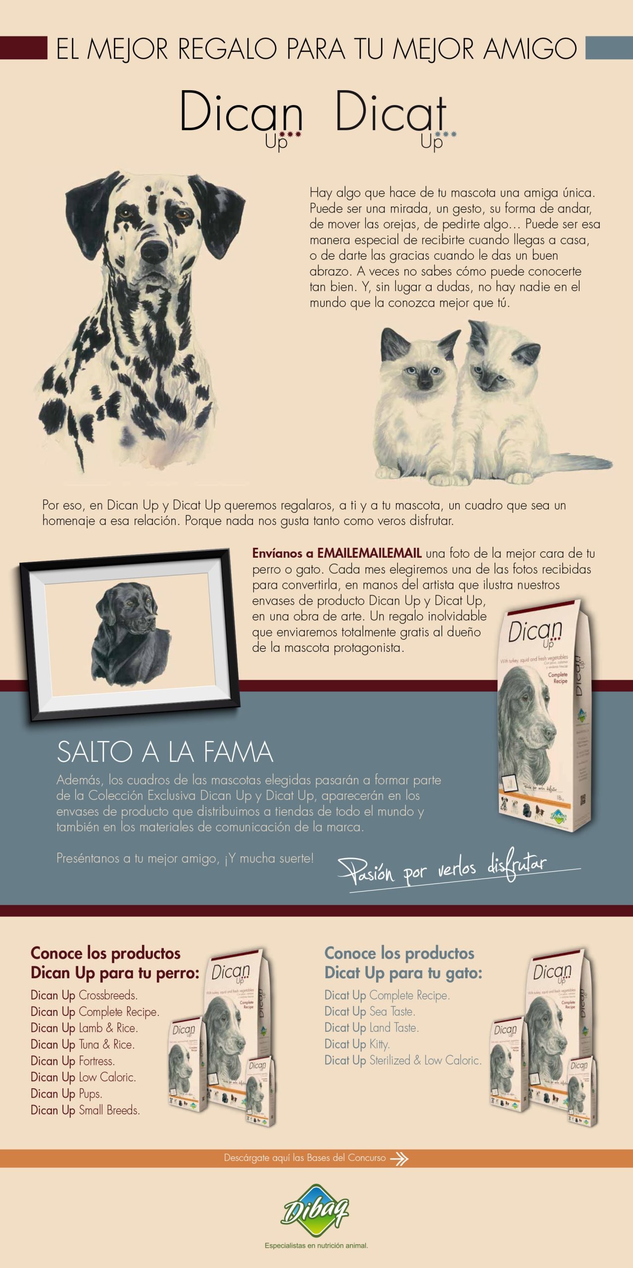imagen con perros y gatos para landing concurso Dican:Dicat
