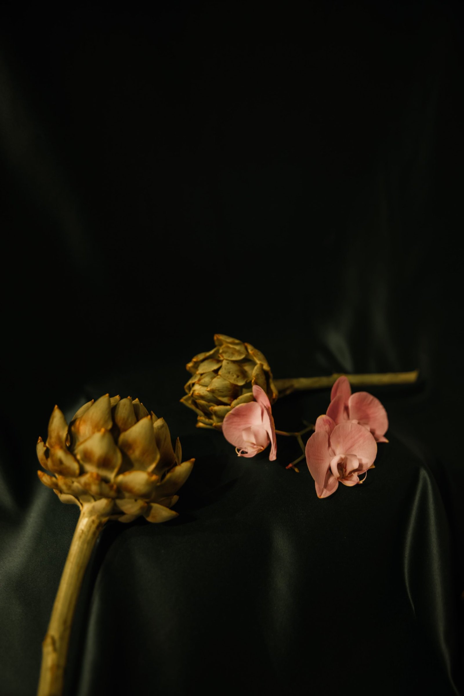 tamara-schipchinskaya-UE_Tldbf10Q-unsplash-min