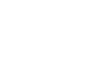 portfolio Artichok.es: logotipo Camar